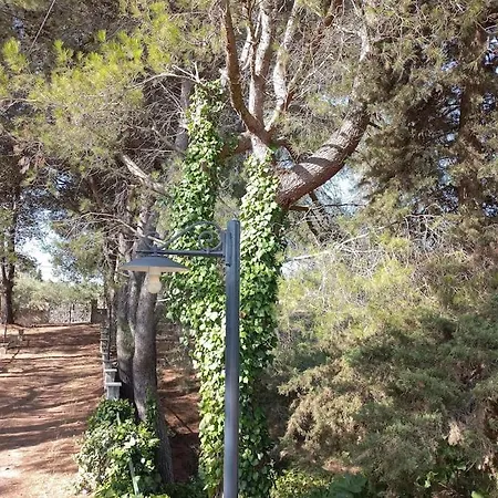 I Trulli Del Ponte Locorotondo