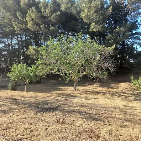 Villa I Trulli Del Ponte Locorotondo