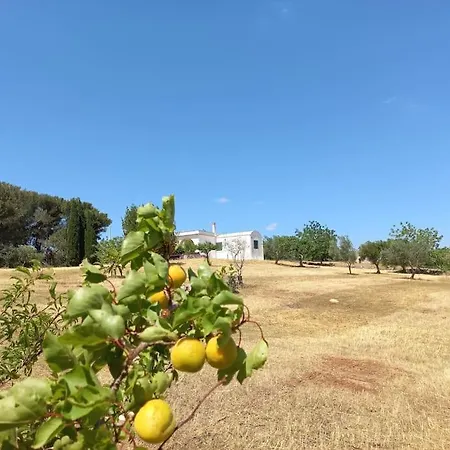 I Trulli Del Ponte Villa Locorotondo