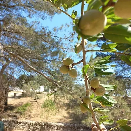 I Trulli Del Ponte * Locorotondo